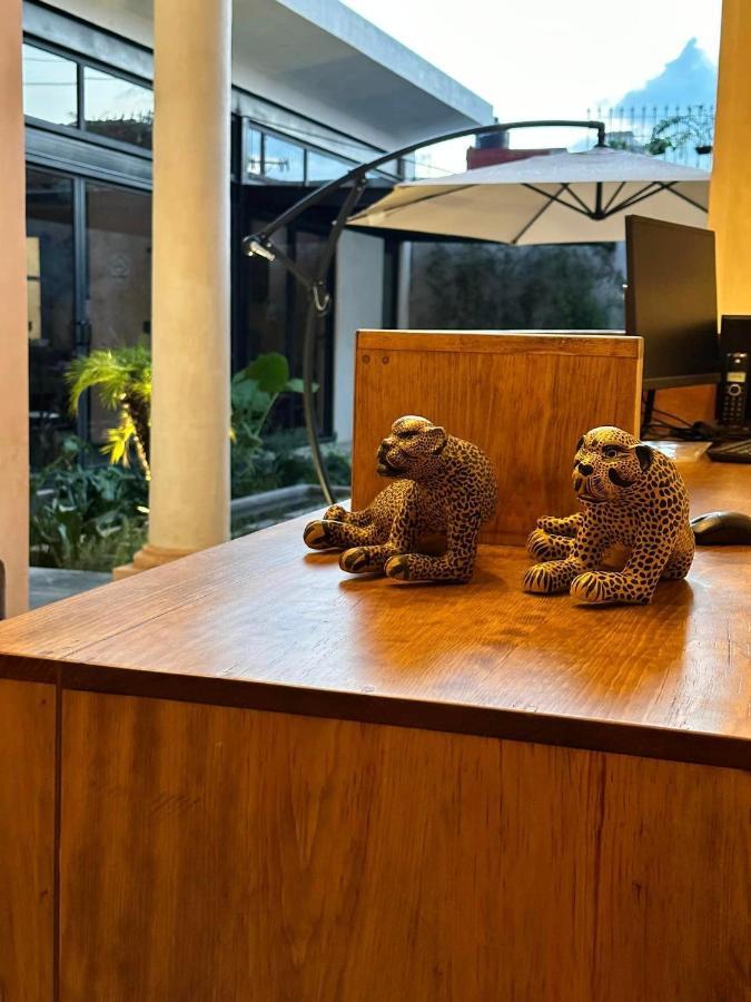 Hotel Boutique Casa San Cristobal San Cristóbal de Las Casas Eksteriør bilde